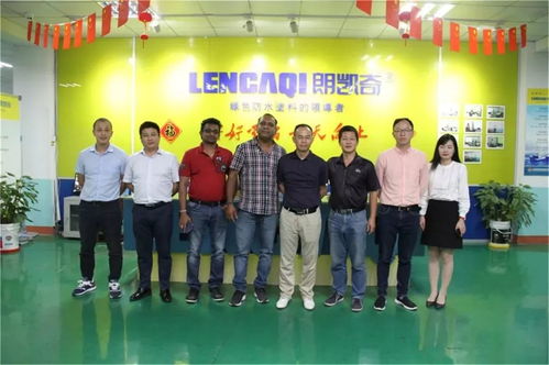 九图回顾 2019年朗凯奇在安徽建材领域的辉煌瞬间