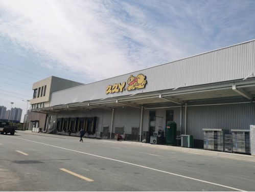 久久丫20周年 安徽、天津新工厂投产，高标准开疆扩土引领行业新篇章